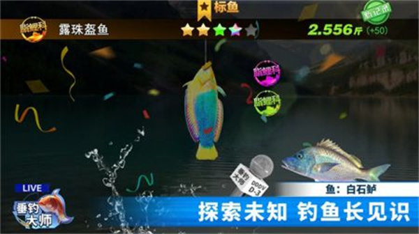 垂钓大师正版图2