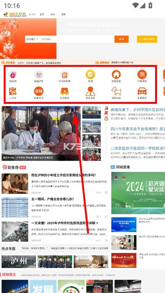 泸州小蚂蚁图6