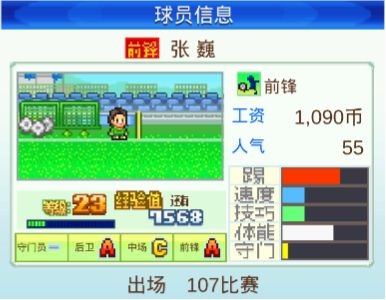 冠军足球物语1免费版