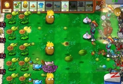 PVZ杂交版