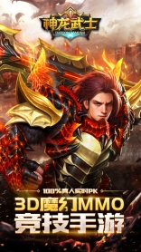 神龙武士图5