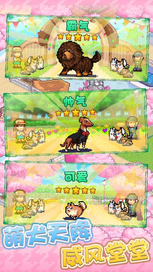 发现狗狗乐园图5