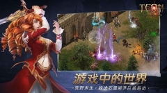 伊丁天堂图4