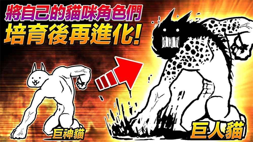 猫咪大战争日服(4)