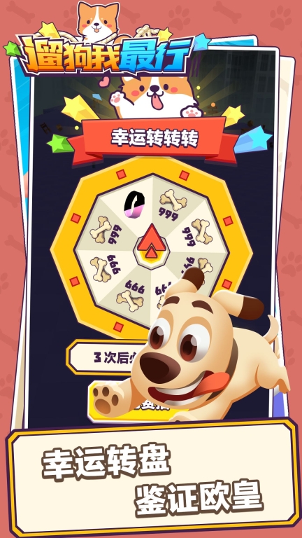 遛狗我最行图3