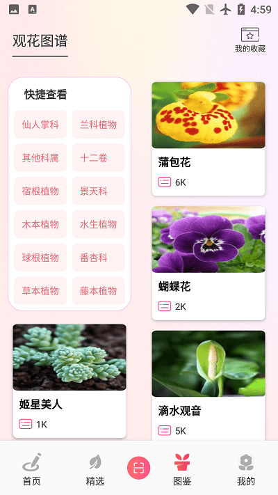 阑舒养花宝图1