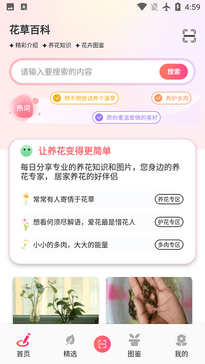 阑舒养花宝图3