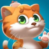 我的皮皮猫