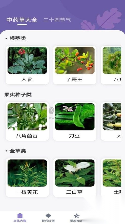 知识大咖图3