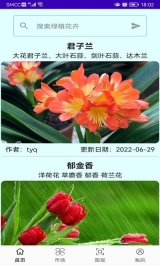 绿植花卉20250.图2