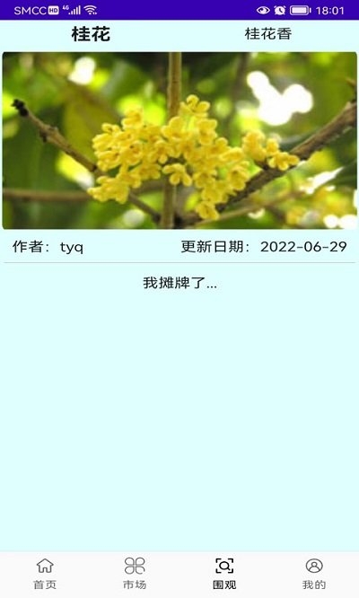 绿植花卉20250.图1