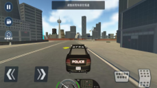 欧洲警车驾驶模拟图2