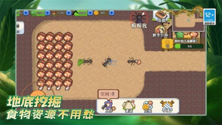 蚂蚁之王图1