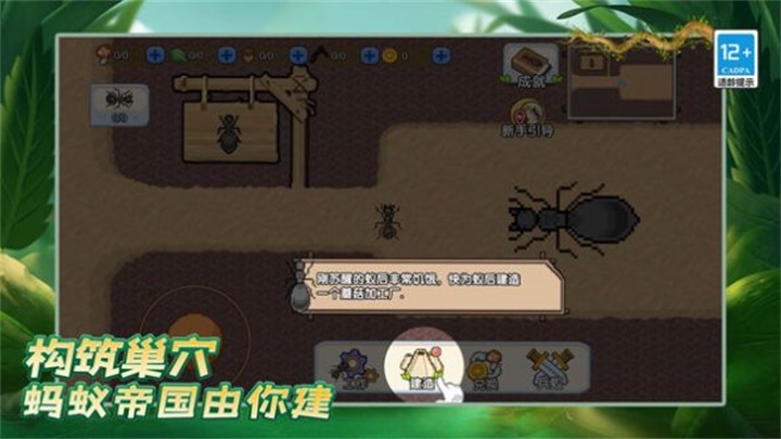 蚂蚁之王图3