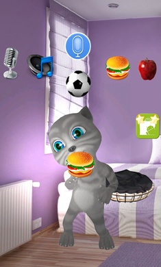 真正说话的猫图1