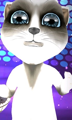 真正说话的猫图3