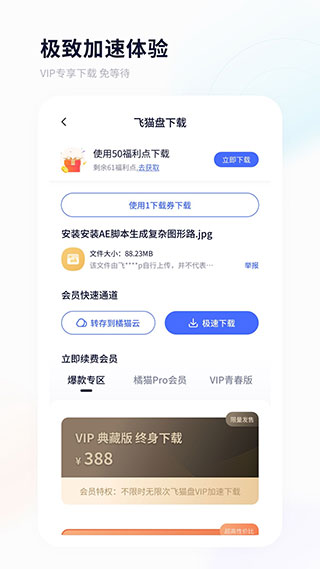 飞猫盘图4