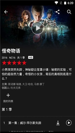 Netflix(1)
