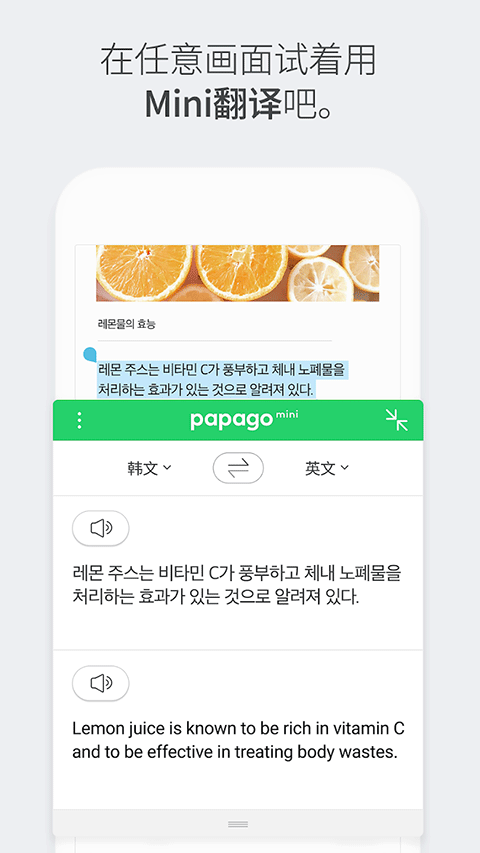 papago中韩翻译软件