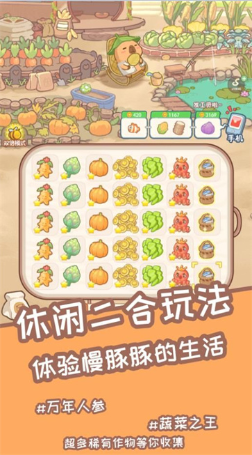 慢豚豚的生活图2