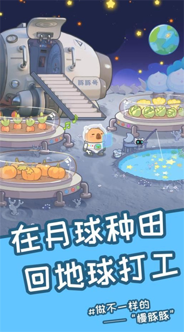 慢豚豚的生活图4