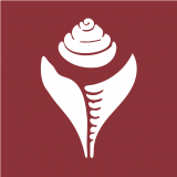 东噶大辞典 V1.0.33