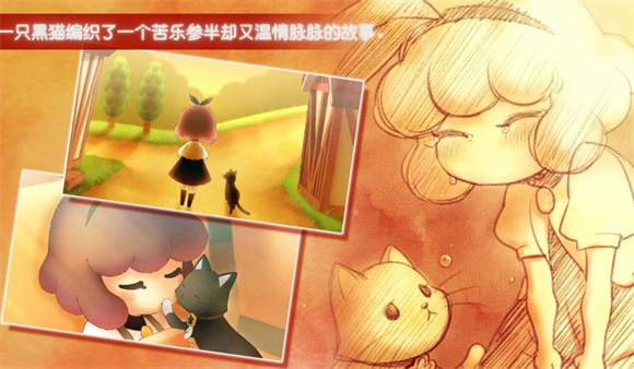 迷途猫之旅(1)