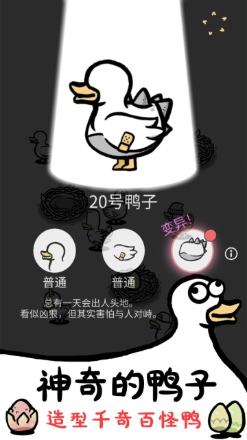 神奇的鸭子1