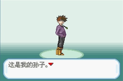 口袋妖怪圣灰