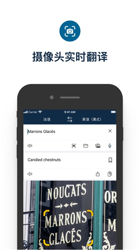 Deepl翻译器