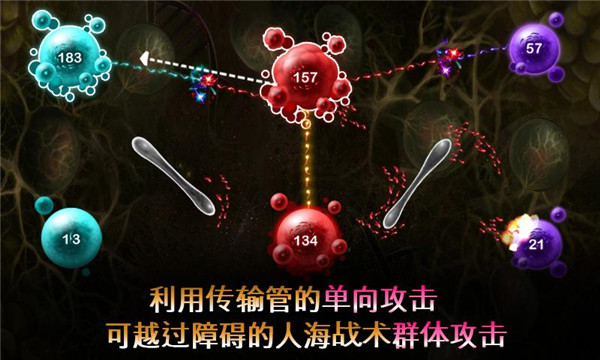 繁殖战争2(2)