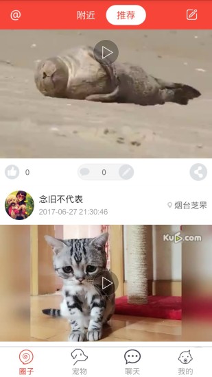 领狗狗(4)