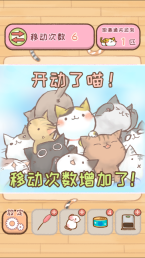 挪猫(4)