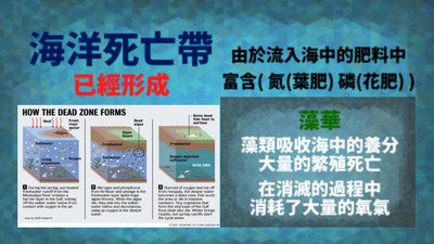 海底缺氧图5