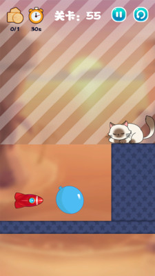 猫咪去哪儿图2