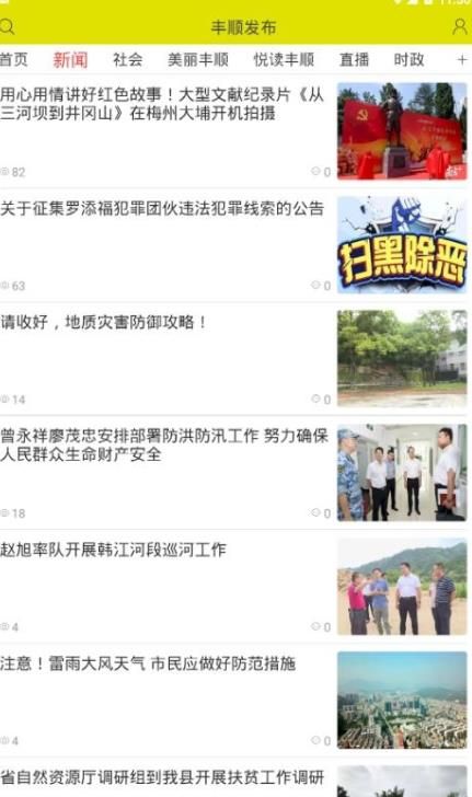 丰顺发布(4)