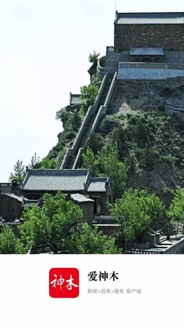 爱神木图2