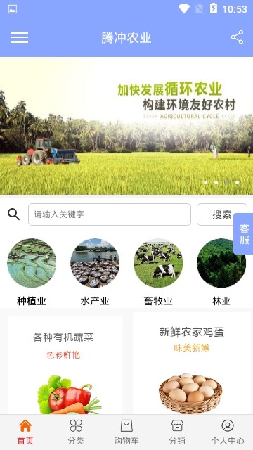 腾冲农业图1