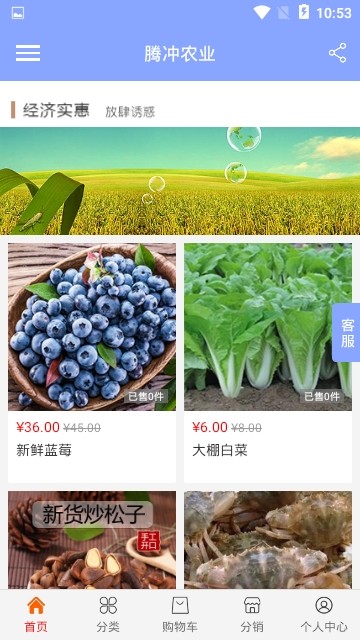 腾冲农业图3