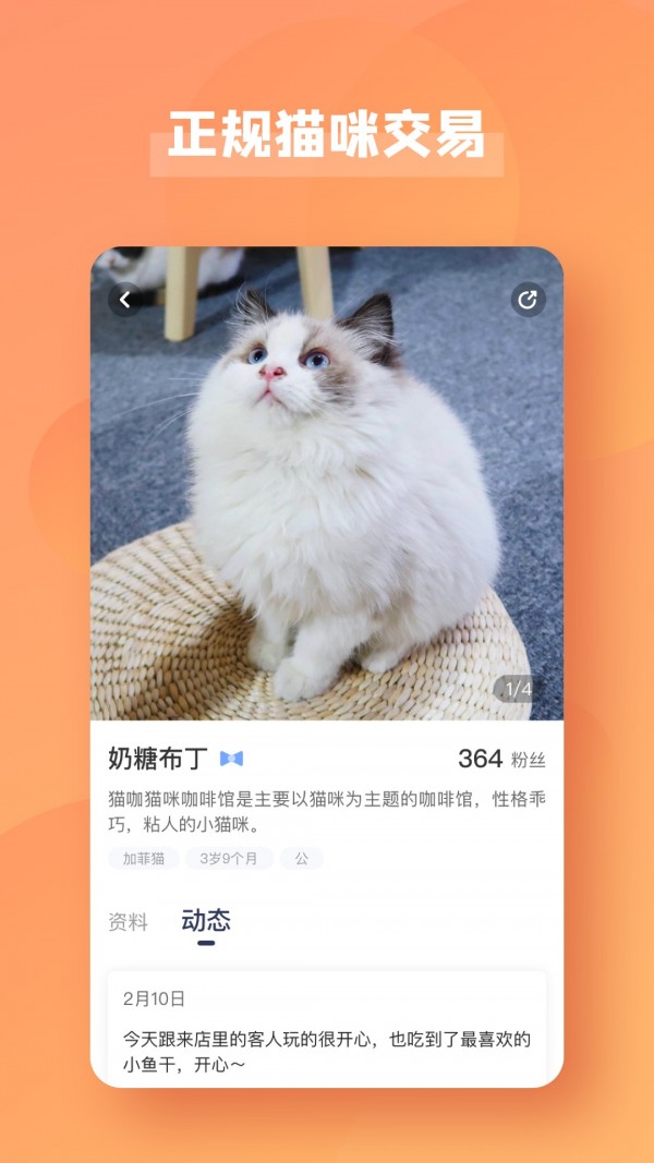 宠酱图3