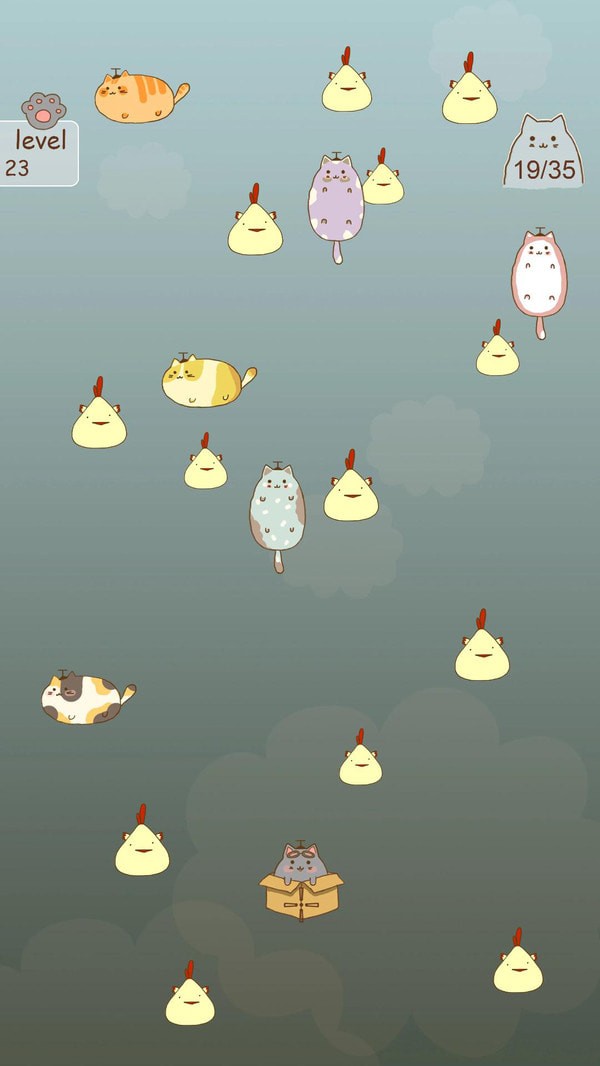 抓住流浪猫(2)