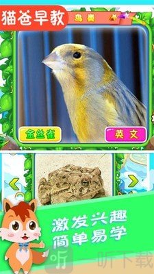 宝宝儿童动物世界