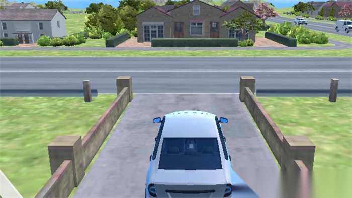 狂野赛车3D图3