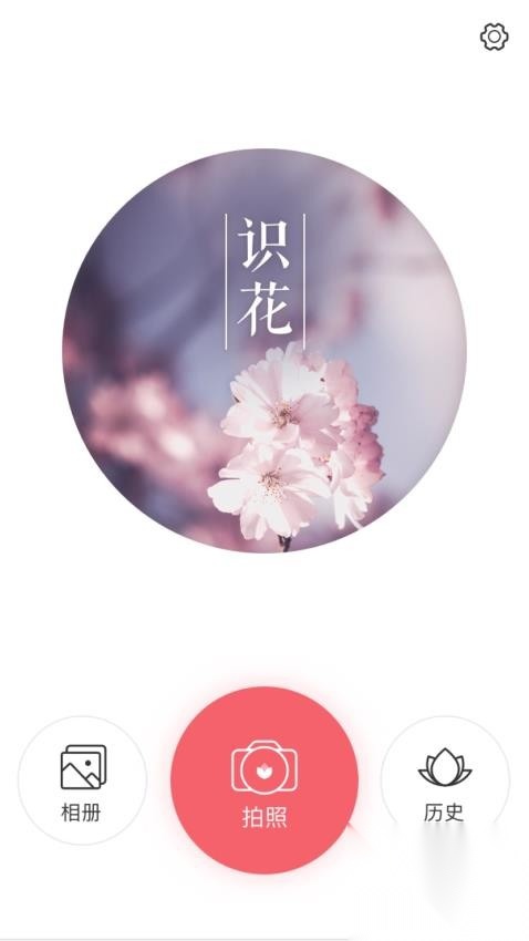 识花大师(2)