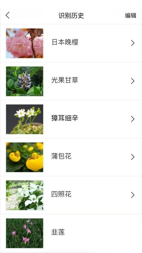 识花大师(3)