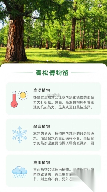 青松奇源图2