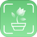 青松奇源 V1.0.0