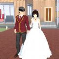 真实樱花乱斗校园篇 V3.10.28