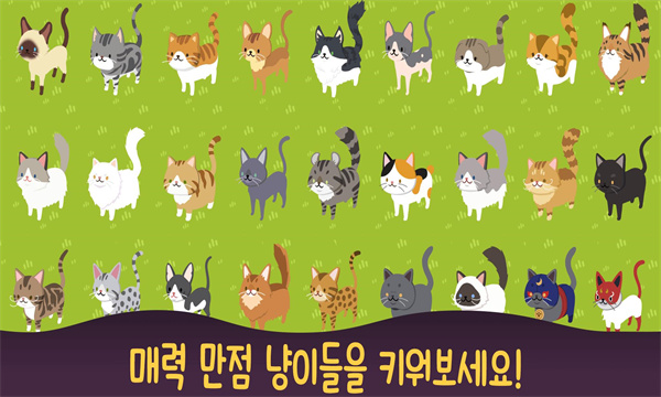 喵喵餐厅的奇迹图1