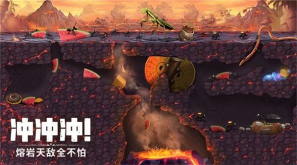 机智的小动物图3